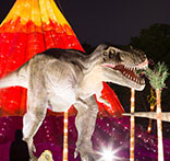 自貢燈會、彩燈彩船制作、會展、仿真恐龍-自貢燈貿